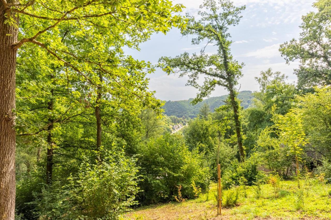 Envie De Vous Evader Dans La Vallee De La Meuse? Hastiere-par-dela Exteriör bild
